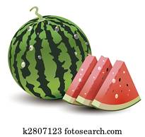watermelon watermelon