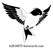 bird bird