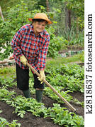 Senior woman gardening