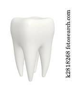 Tooth Tooth