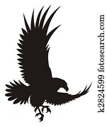 Eagle Eagle