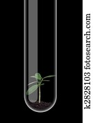 Test tube Test tube