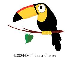 Toco Toucan