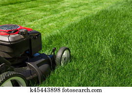 mower gramado