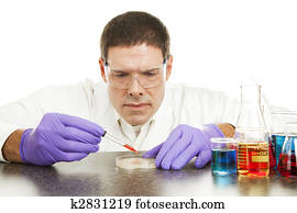 Scientist Growing Culture