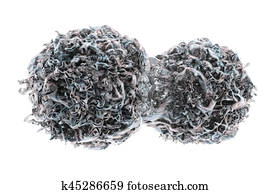Dividing cancer cells Dividing cancer cells