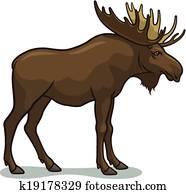 Moose Moose