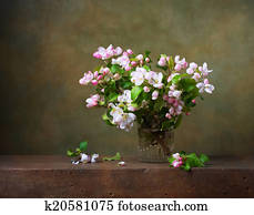 リンゴの花 イラストギャラリー 946 リンゴの花 アート Fotosearch