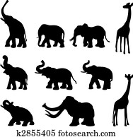 Elephants, mommoth, giraffe Elephants, mommoth, giraffe