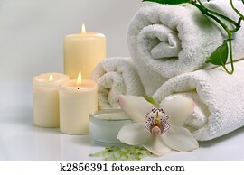 spa concept spa concept