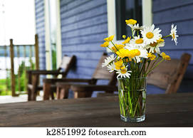 ווילדפלוwארס, ריח, ב, קוטג~