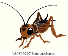 ציור היתולי, צרצר