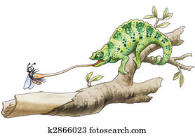 chameleon chameleon