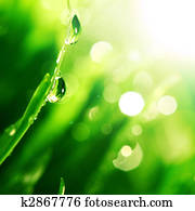 shine water drop shine water drop