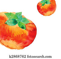 tomato tomato