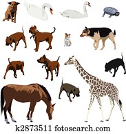 Animals