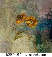 Blown Sunflowers Blown Sunflowers