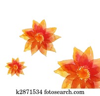 flower flower