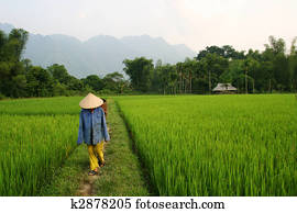 Vietnam Vietnam