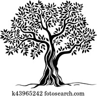 סבב, חדק, עץ