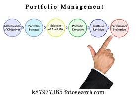 ששה, מרכיבים, של, תיק, ניהול