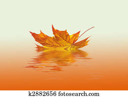 Autumn Autumn