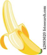 Banana Illustration Banana Illustration