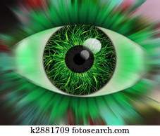 Eye Eye