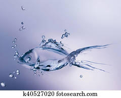 Water Fish Water Fish