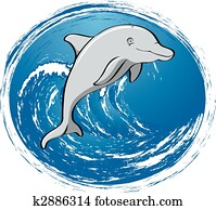 לגלוש, דולפין