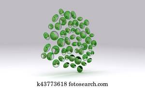 Chlorella Chlorella