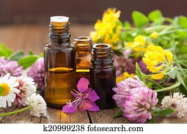 essential oils and medical flowers herbs essential oils and medical flowers herbs