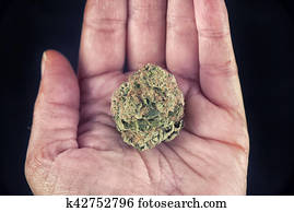 passe segurar, marijuana, broto