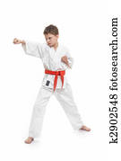 Karate Kid Karate Kid