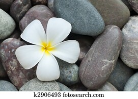 Spa and wellness Spa and wellness