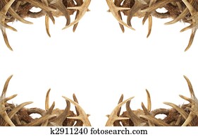 antler veado, borda