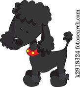 Poodle Black Poodle Black