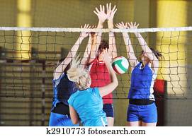 volleyball volleyball