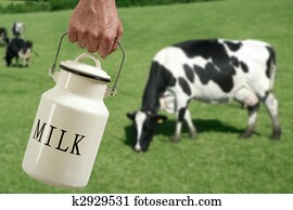 Milk pot farmer hand cow in meadow Milk pot farmer hand cow in meadow