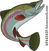 Trout fish 