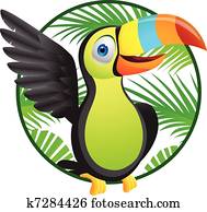 tukan, vogel tukan, vogel
