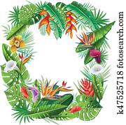 Frame from tropical plants and flowers Frame from tropical plants and flowers