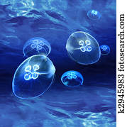 Blue medusas glowing underwater Blue medusas glowing underwater