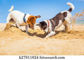 cachorros, cavando, um, buraco