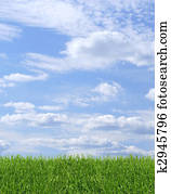 Green grass and blue sky
