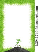 Green sprout Green sprout