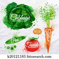 Vegetables watercolor cabbage, carrot, tomato, peas Vegetables watercolor cabbage, carrot, tomato, peas