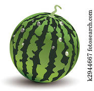 Watermelon Watermelon