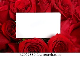 Blank Message Card Surrounded by Red Roses Perfect for Valentine's Day or an Anniversary Blank Message Card Surrounded by Red Roses Perfect for Valentine's Day or an Anniversary