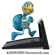 Fun turtle Fun turtle